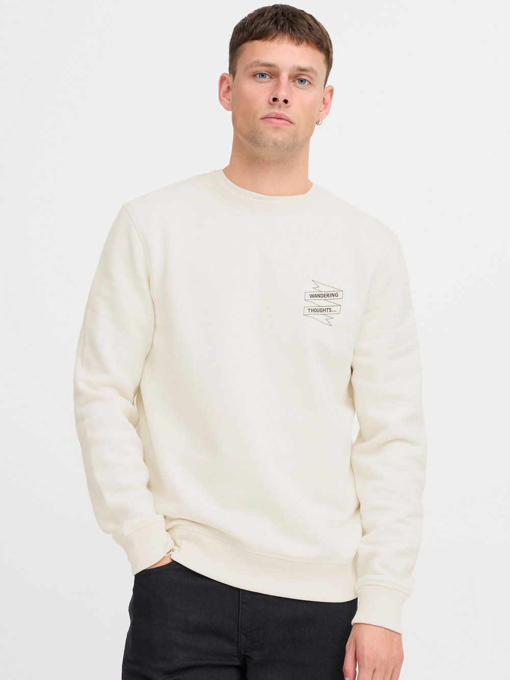 BLEND Sweatshirt Herren Baumwolle bedruckt