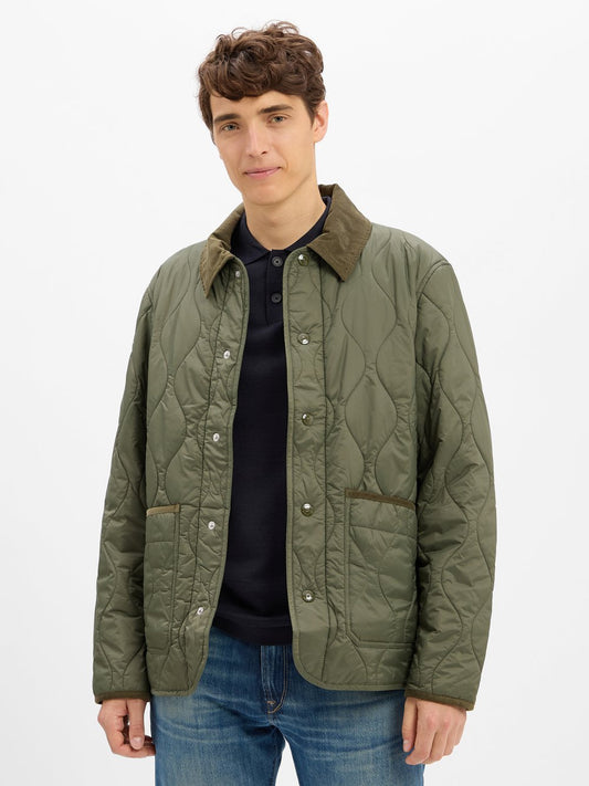 Tommy Hilfiger Steppjacke Herren