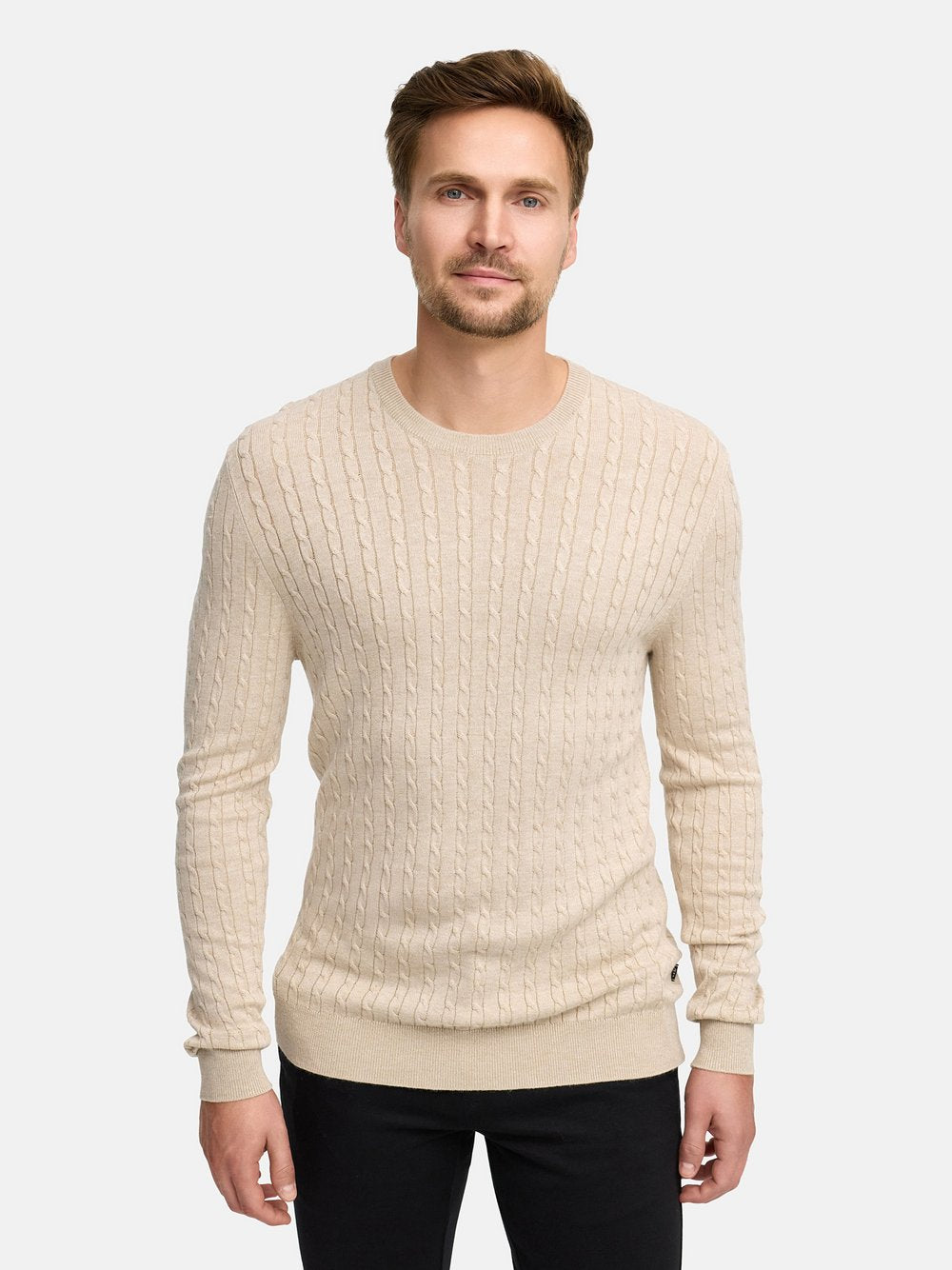 Jeff Strickpullover Herren Viskose