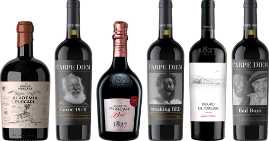 Premium Moldawien Wein Verkostungsset