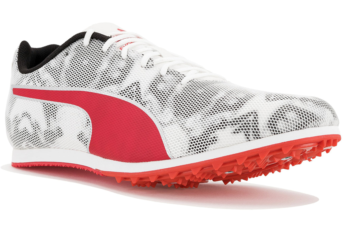 evoSPEED Star 8 Herren