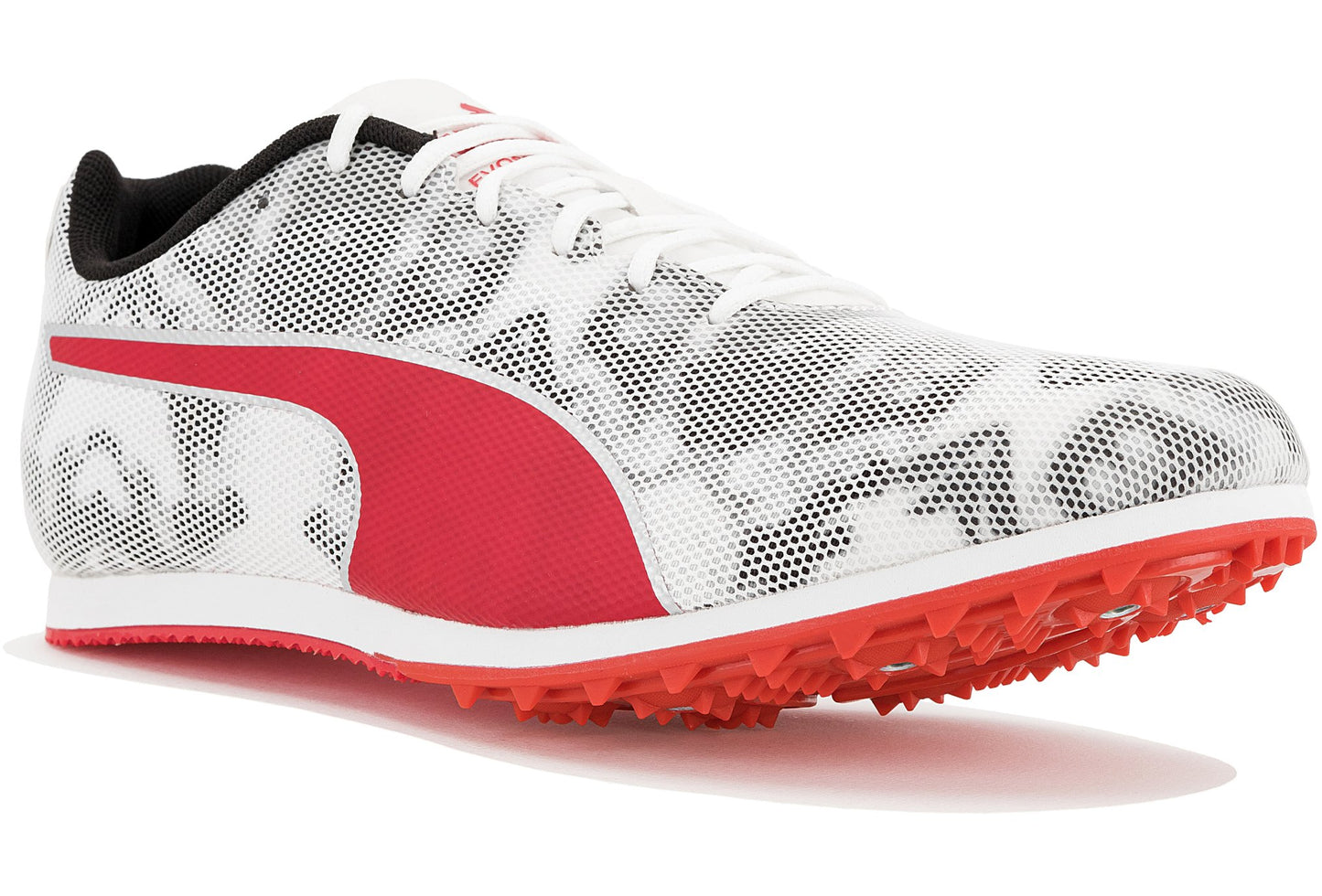 evoSPEED Star 8 Damen