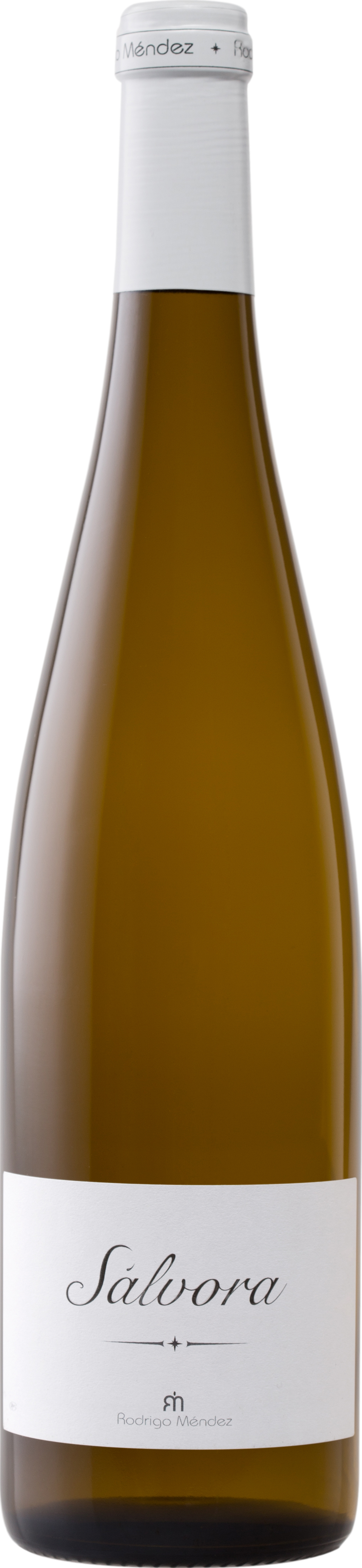 Rodrigo Mendez Salvora 2023