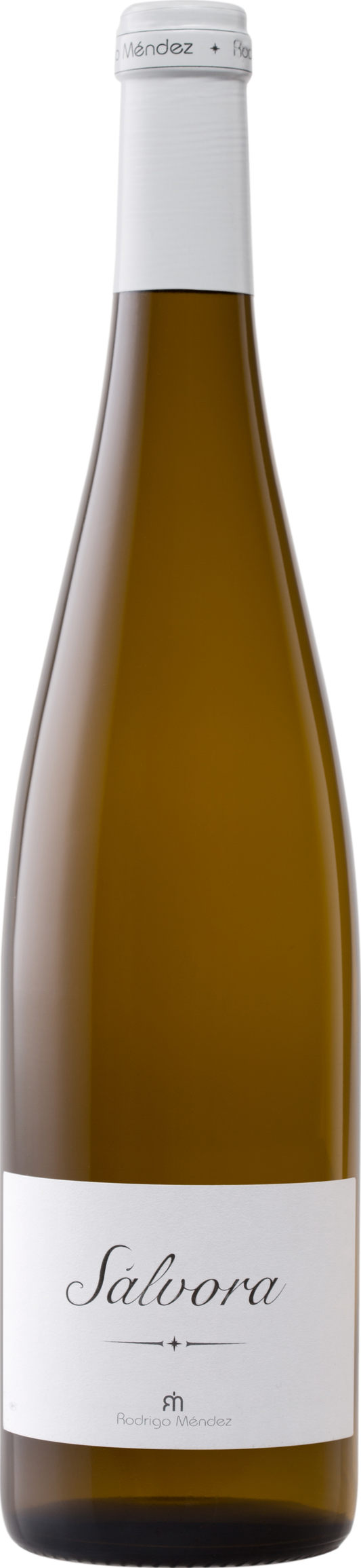 Rodrigo Mendez Salvora 2023