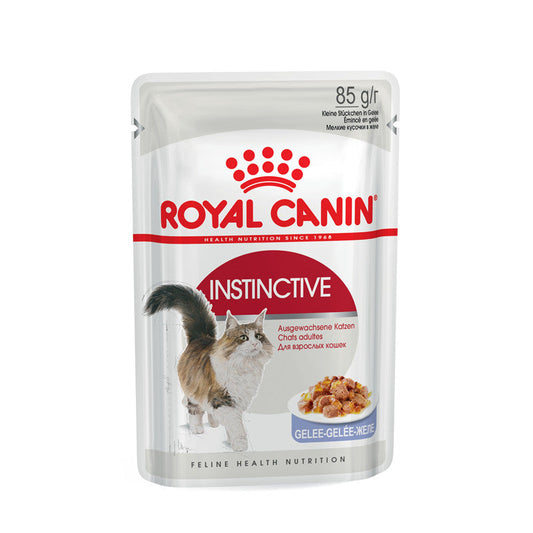 Royal Canin Feline Health Nutrition Instinctive in Gelee