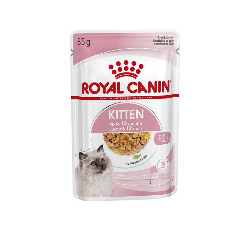 Royal Canin Feline Health Nutrition Kitten in Gelee