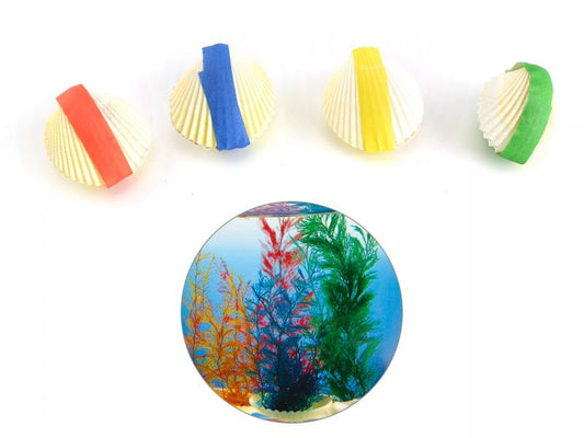 goki Wundermuschel, 1 Stück, Farben sortiert