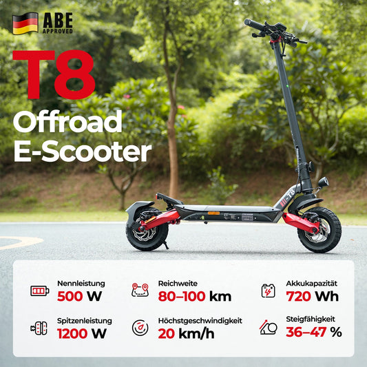 iScooter 1000W T4 Offroad E-Scooter Mit Straßenzulassung (ABE/eKFV) - T8