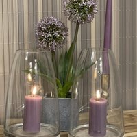 Light Light Filio High