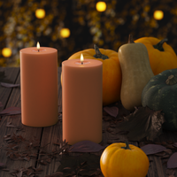 LED-Blockkerzen Ø 10 x 20 cm Orange – 2 Stück